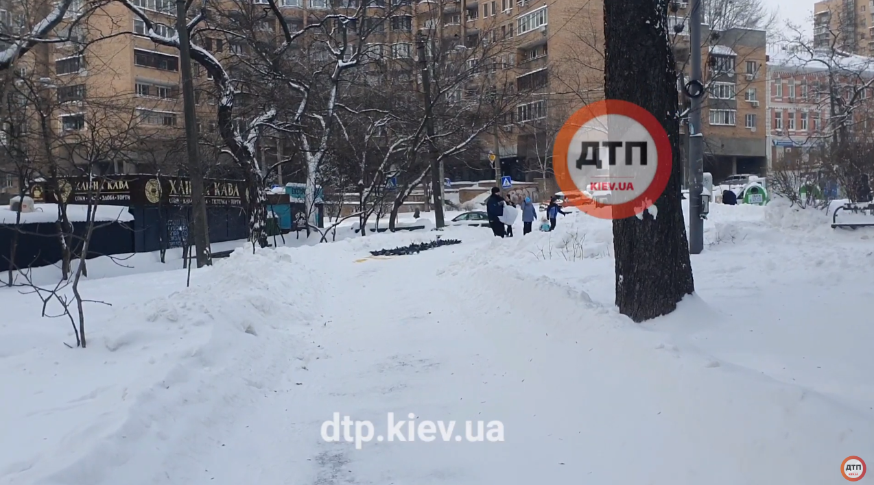 Помогайте птицам пережить холода и снег